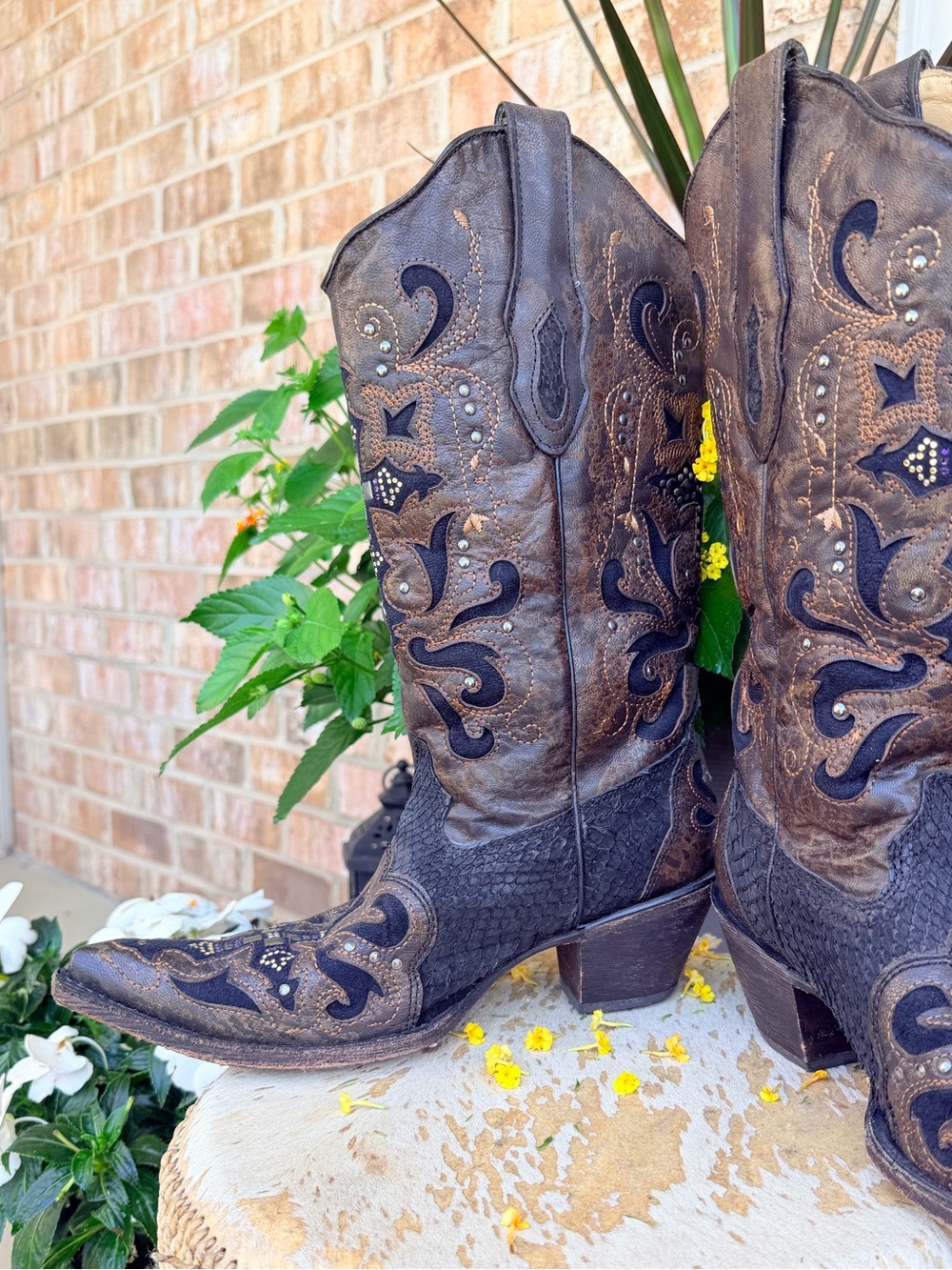 Corral Swarovski Crystal Embellished Cross Python Leather Cowboy Boots Black 8.5 - Picture 6 of 16
